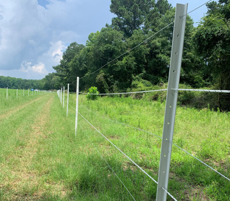 Steel T-Posts: A Versatile Solution for Fencing and Agricultural Applications