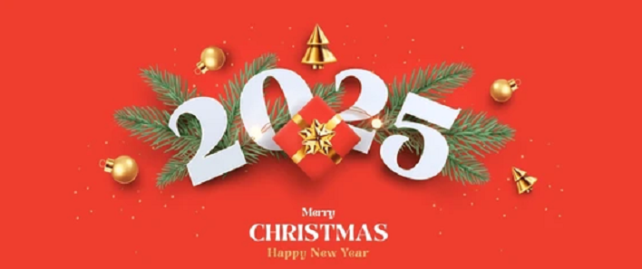 Merry Christmas and Happy New Year 2025！